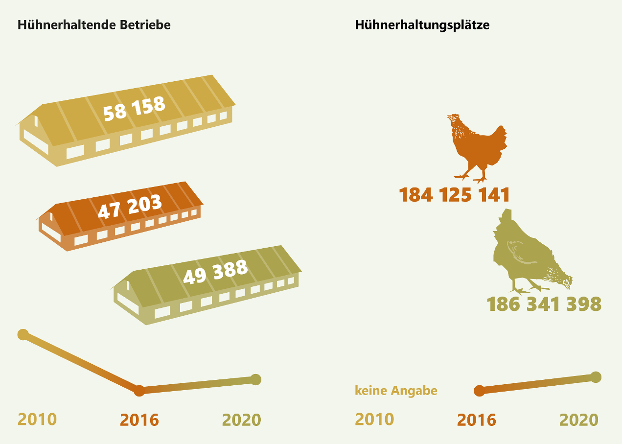 Entwicklung der hühnerhaltenden Betriebe und Hühnerhaltungsplätze in Deutschland 2010 bis 2020