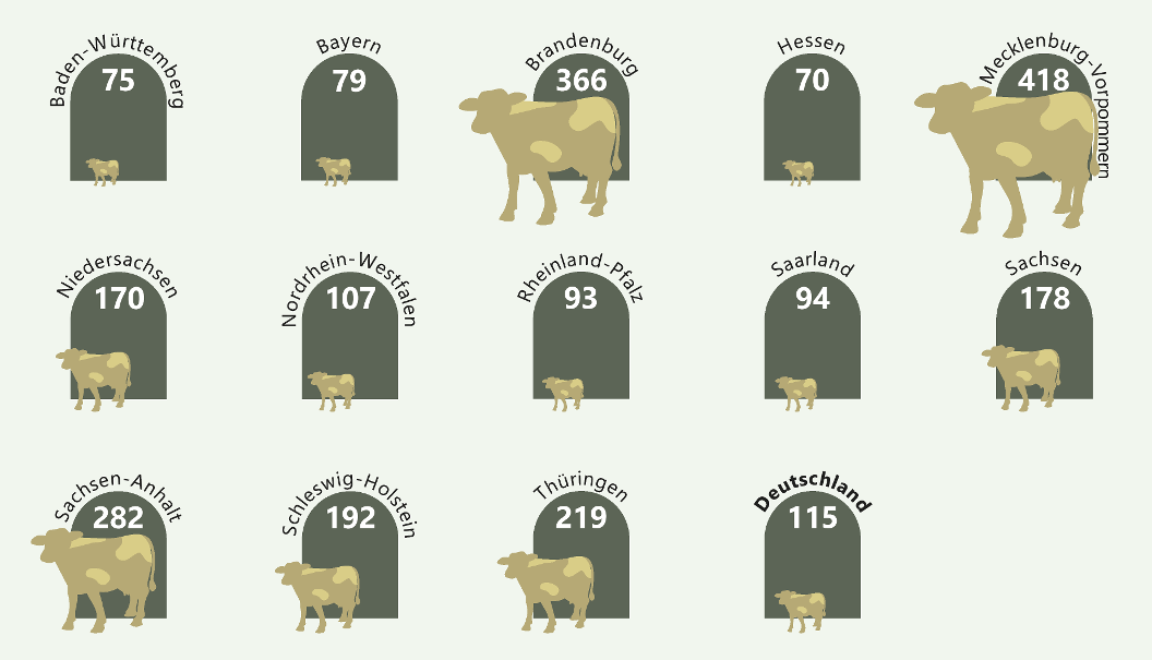 Durchschnittlich Anzahl von Rinderhaltungsplätzen pro Betrieb in Deutschland 2020 (ohne Stadtstaaten)