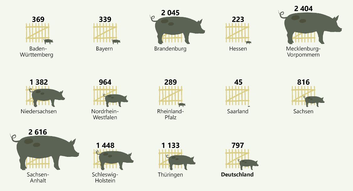 Durchschnittliche Anzahl der Schweinehaltungsplätze pro Betrieb in Deutschland 2020 (ohne Stadtstaaten)