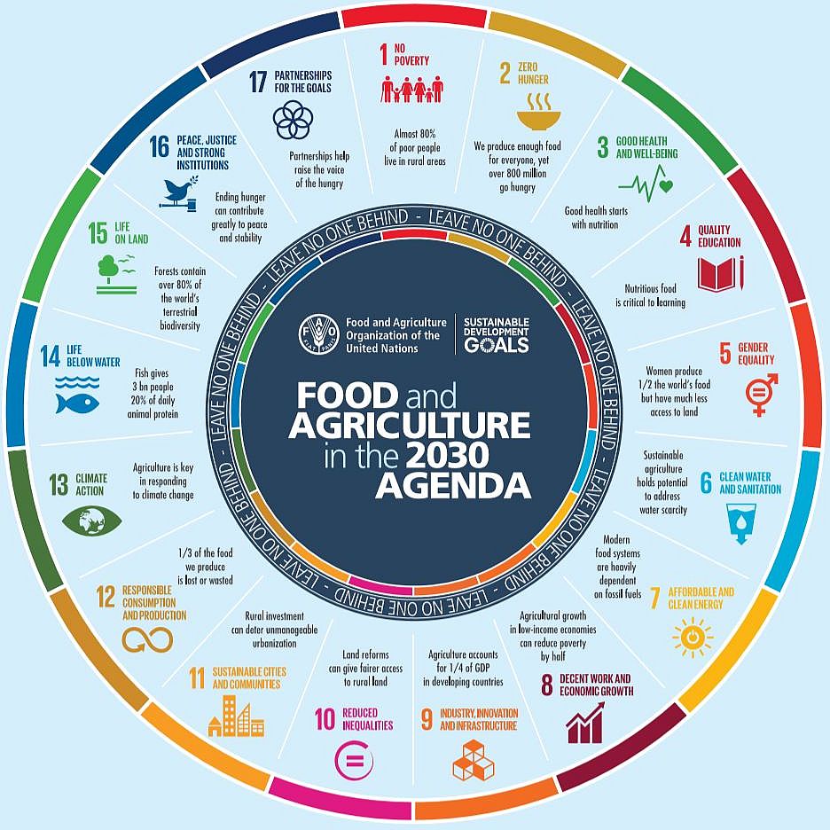 Sustainable Development Goals and food and agriculture