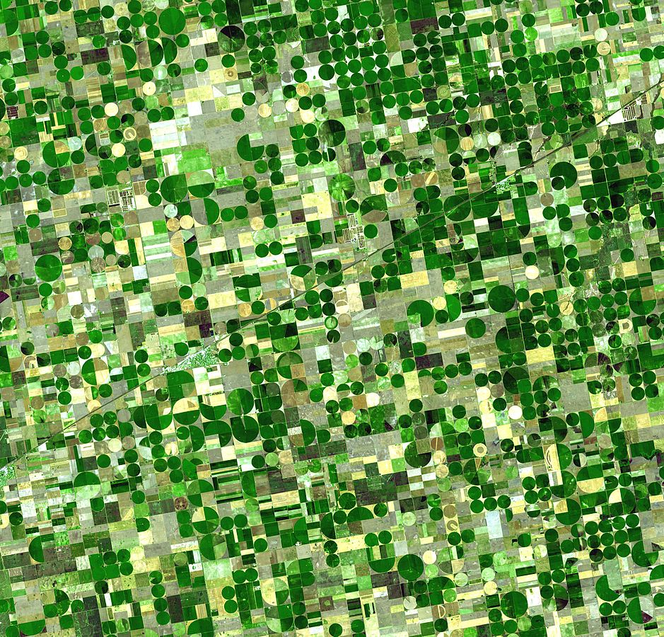 Farmland in Kansas, aufgeteilt in Sections und Quarter Sections
