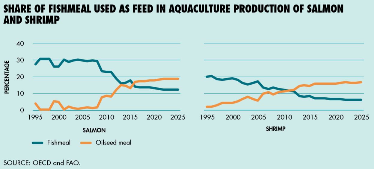 Anteil von Fischmehl am Futtermitteleinsatz bei der Lachs- und Garnelenproduktion