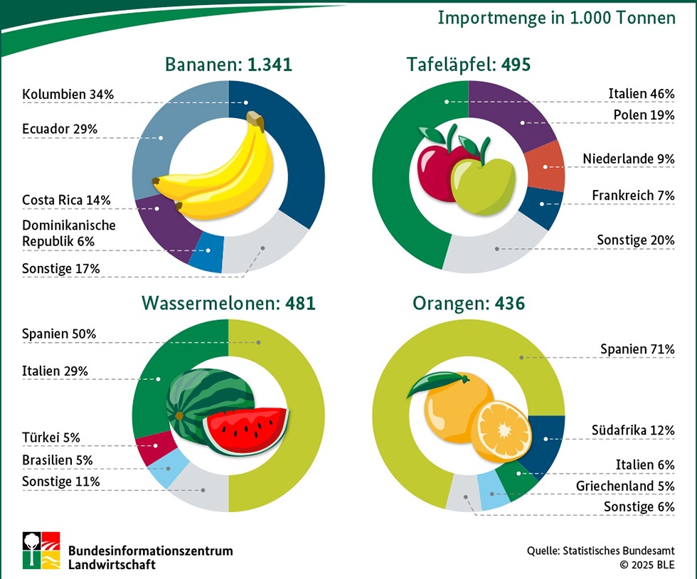 Woher kommt unser Obst? Obstimporte nach Ländern in 2024