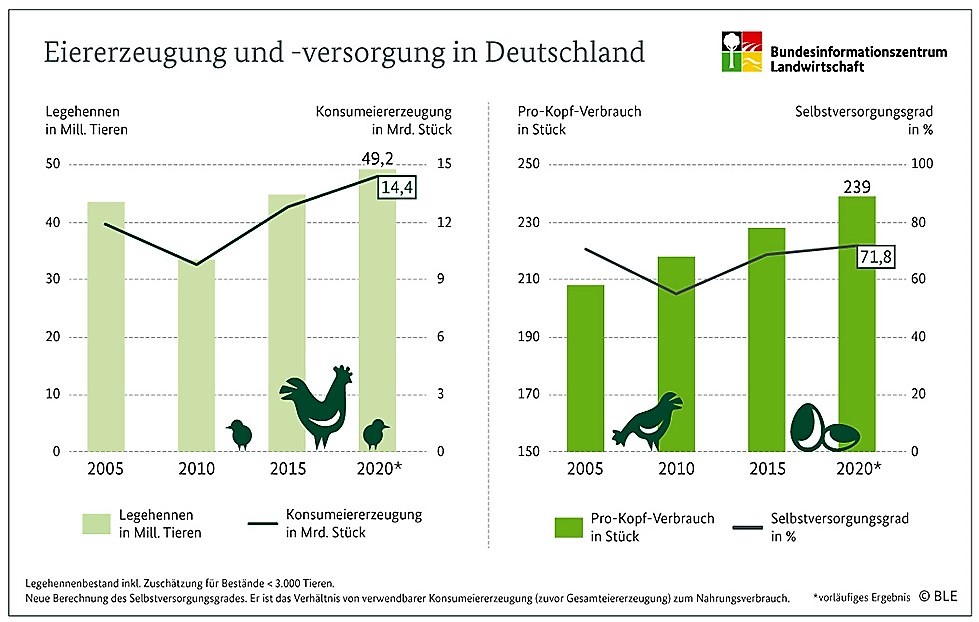 Eierproduktion und -versorgung in Deutschland